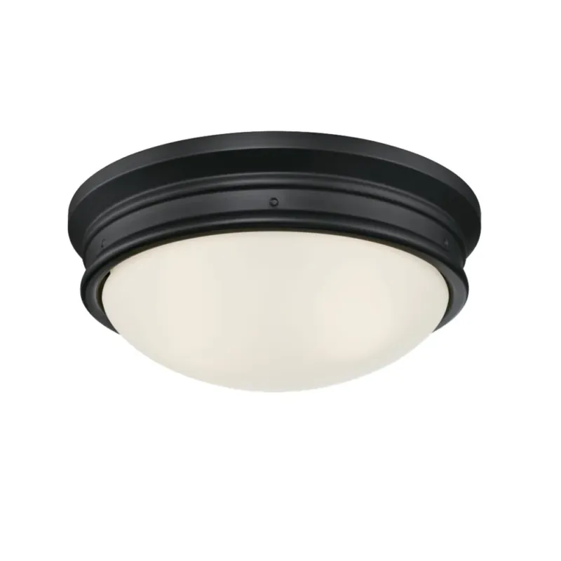 Premium Westinghouse 63241 Flush Mount Ceiling Fixture, 120 VAC, 2-Lamp
